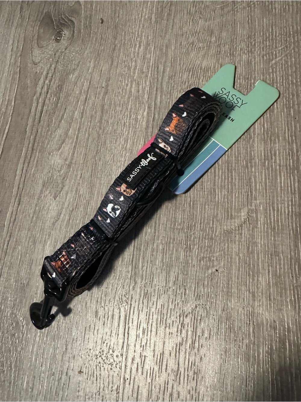 Sassy Woof Black Dog Leash with Patterned Accents